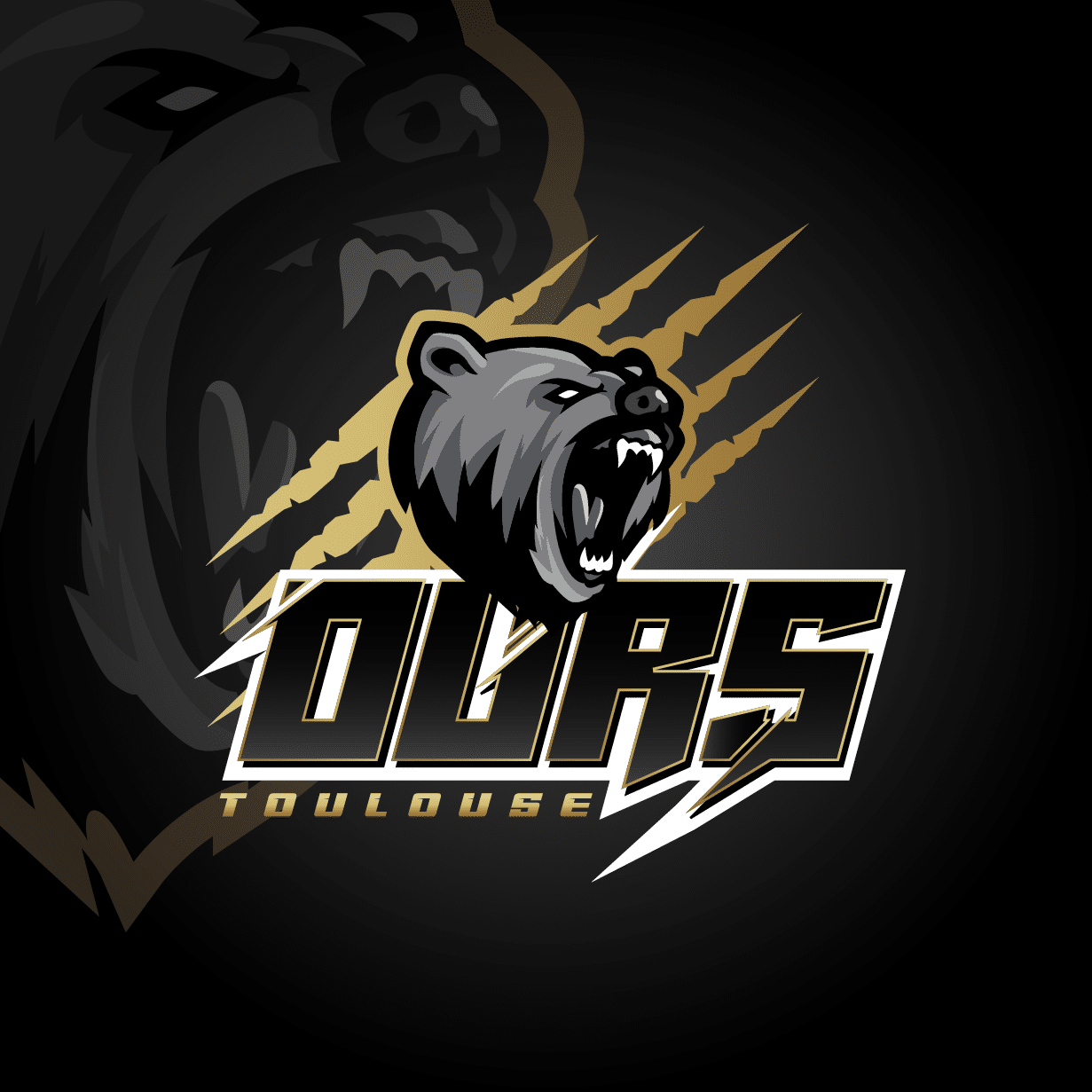 Logo Ours