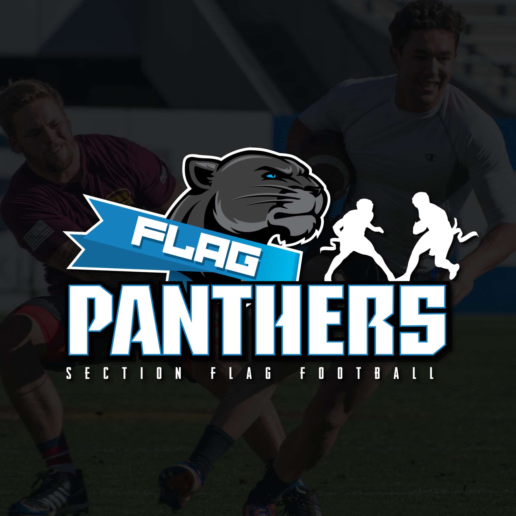 Logo FootBall US Panthere