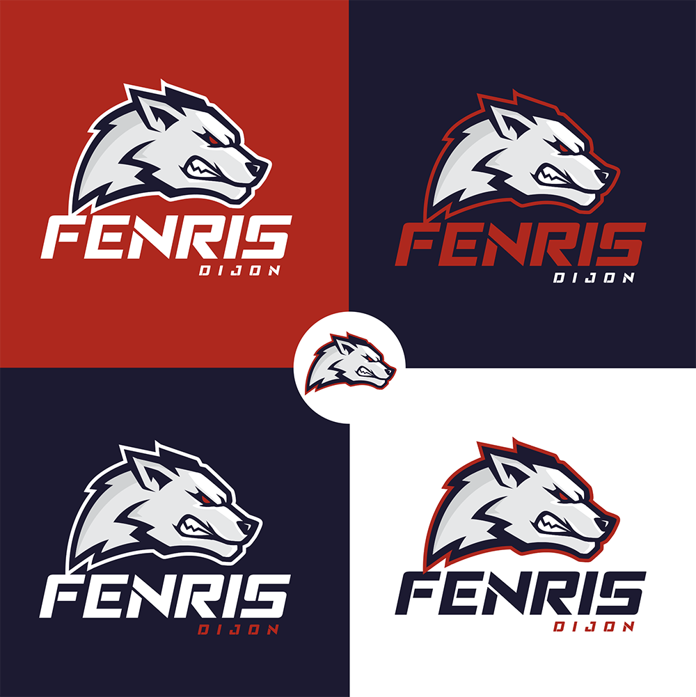créations d'un logo pour une équipe de sport